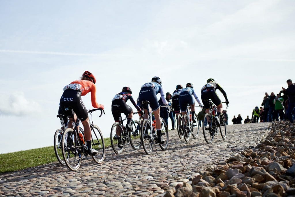 Drentse 8 van Westerveld 2019
