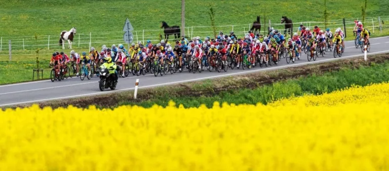 Cogeas Mettler Look at the Fléche Wallonne