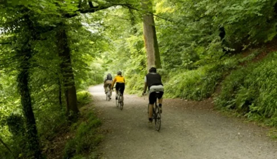 Saltram House Bike Trail: A Tranquil Ride Through Devon’s Countryside