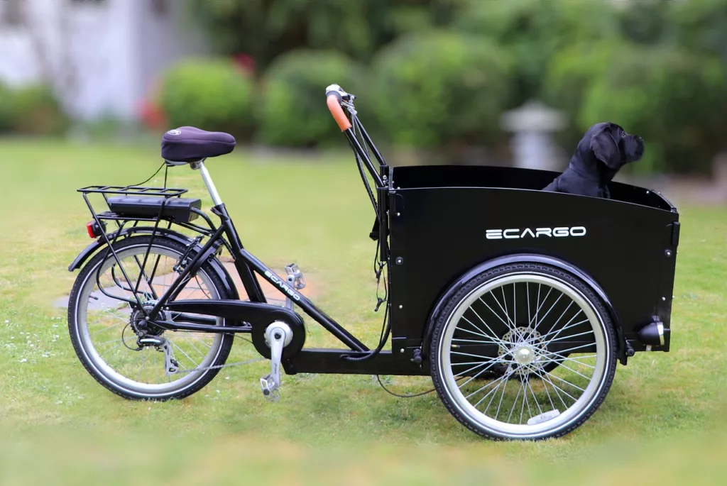 electric cargo bike, e-bike, bike