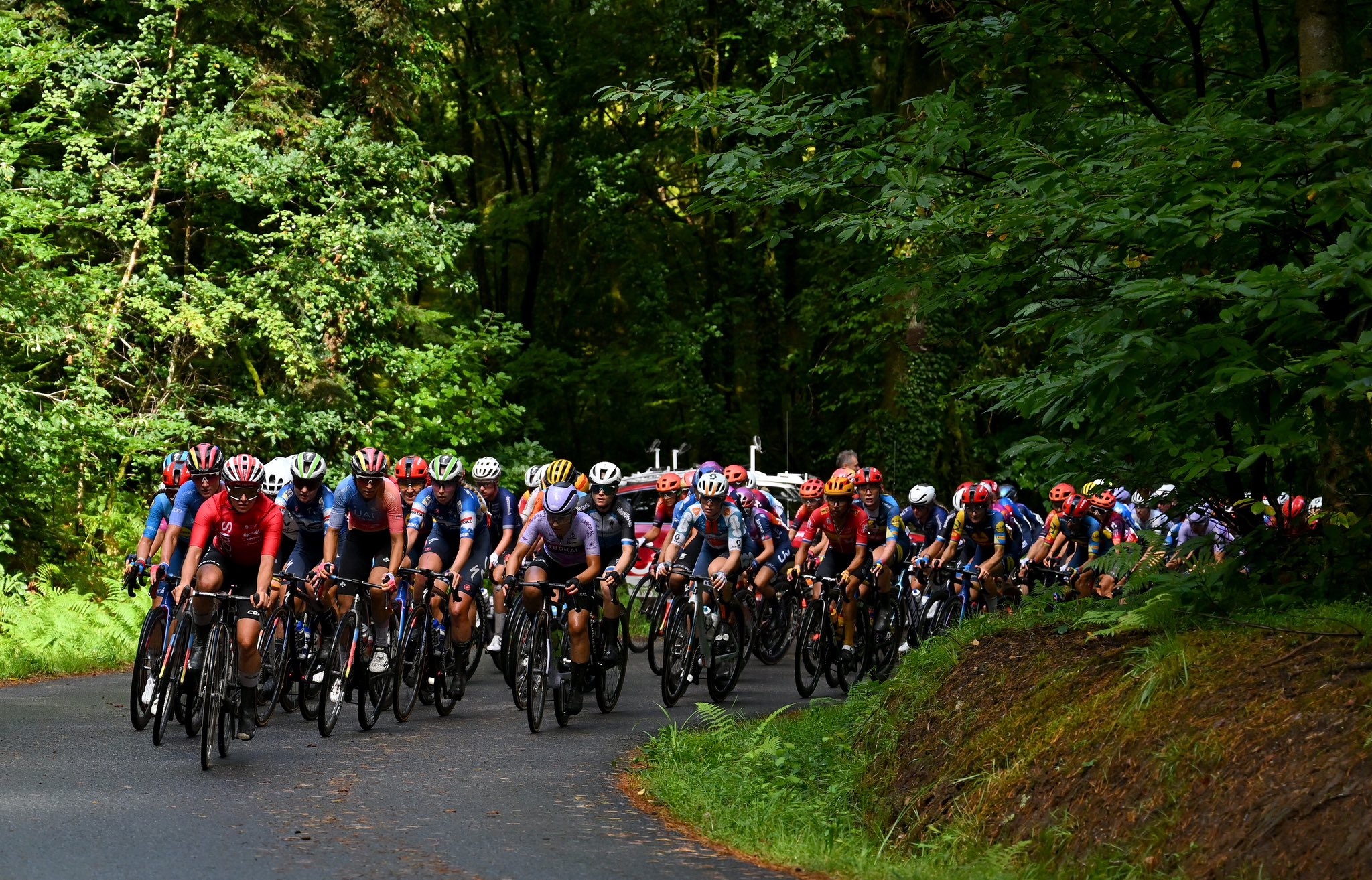 Strong field set for 2025 Lloyds Tour of Britain Women as top WWT teams return Strong field set for 2025 Lloyds Tour of Britain Women as top WWT teams return