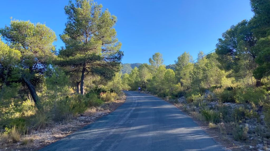 xorret-del-cati-castalla-upload