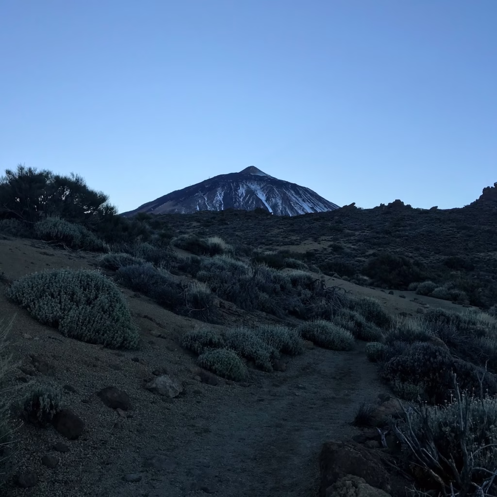 a dirt path leading to a snow covered mount teidemountain