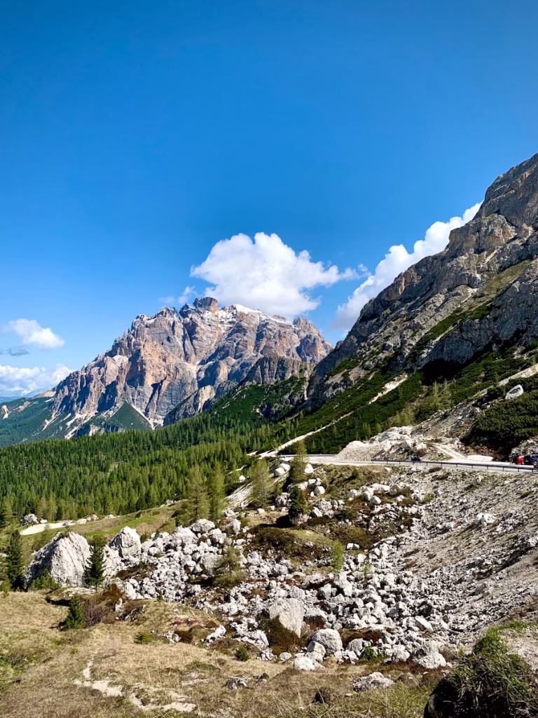 a scenic view of a mountain range with trees and rocks