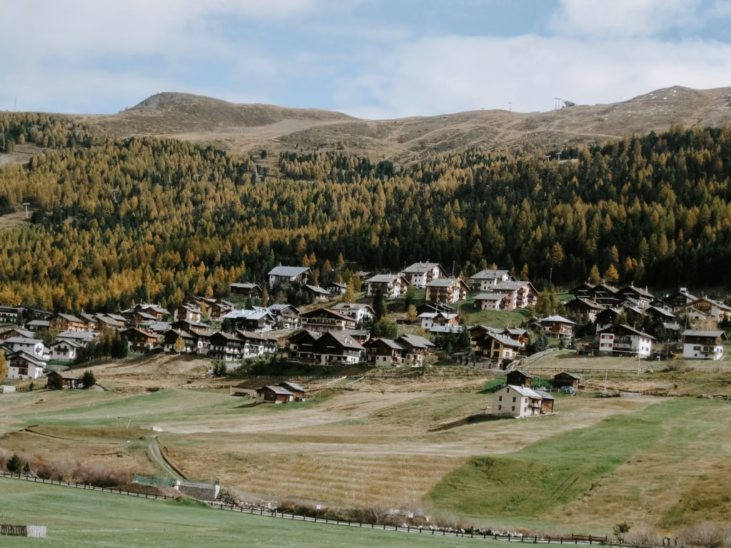 village surrounded by trees