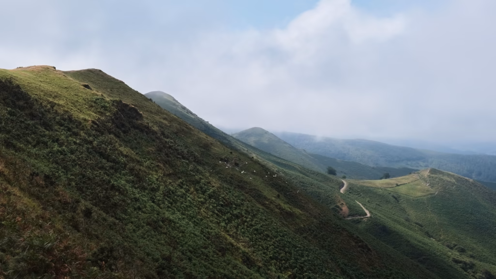 green grass field under white clouds during daytime basque country