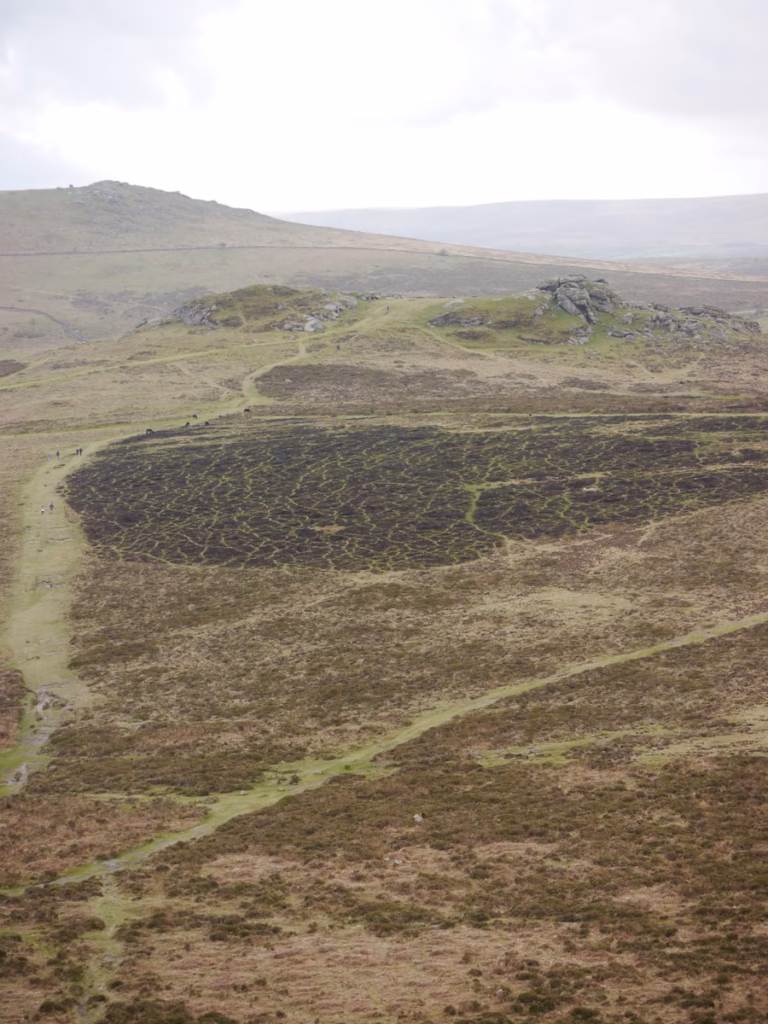 Dartmoor A grassy plain with a river running through it