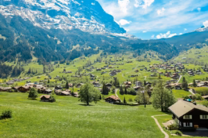 Bernese Oberland: Interlaken, Grindelwaldgreen trees and green grass field near mountain during daytime