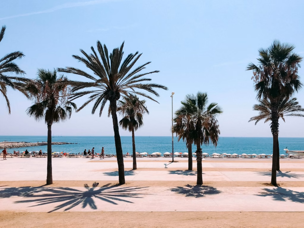 Barcelona people on beach during daytime