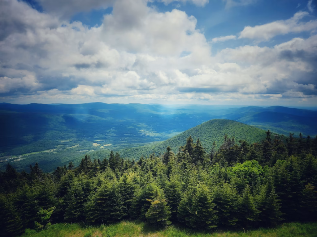 a scenic view of the mountains and trees