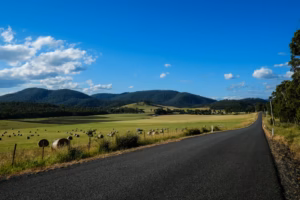 Tasmania green grass field near road under blue sky during daytime