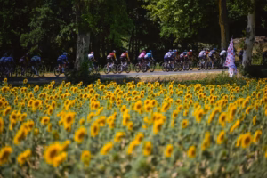 Tour de France 2026 - Étape 5 - Lannemezan / Pau (158,3 km) - Peloton Sunflowers