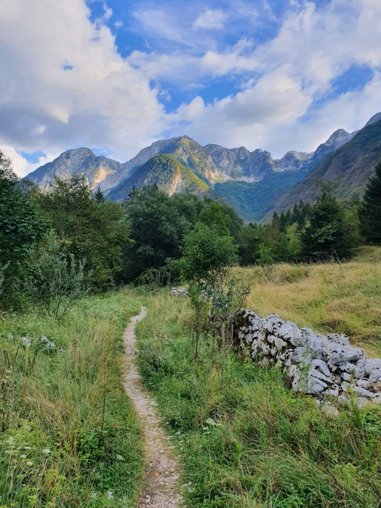 Soca Valley a dirt road in a forest