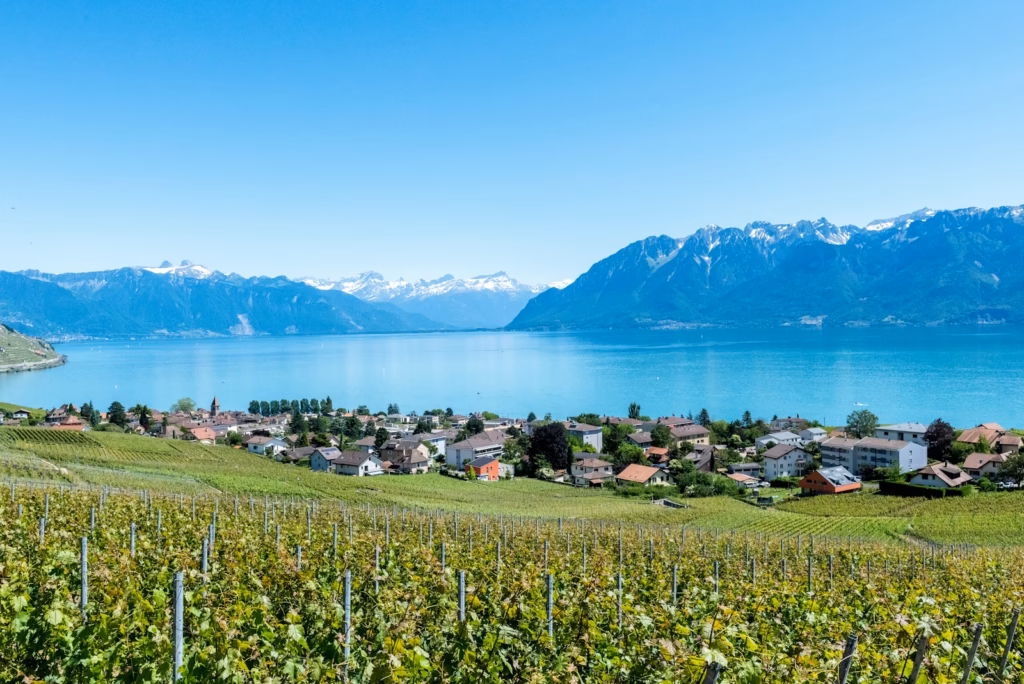 Geneva green grass field and icy mountain scenery