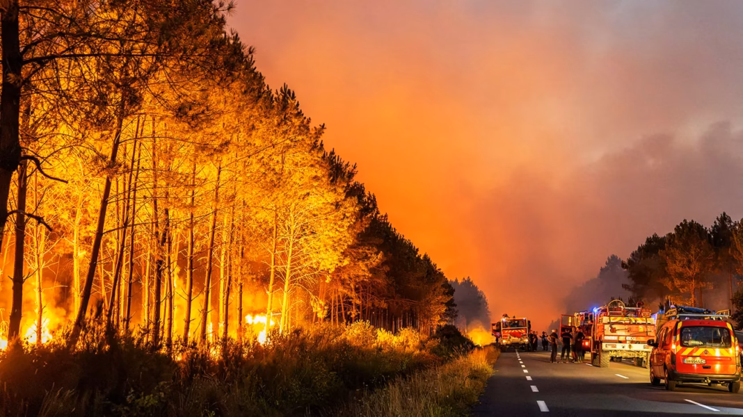 France wildfires: how they changed the Tour de France 2026 final stage France wildfires: how they changed the Tour de France 2026 final stage
