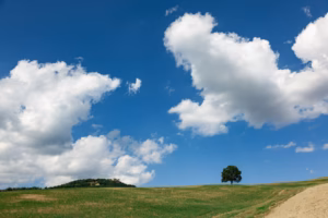 Emilia-Romagna green grass field under blue sky and white clouds during daytime