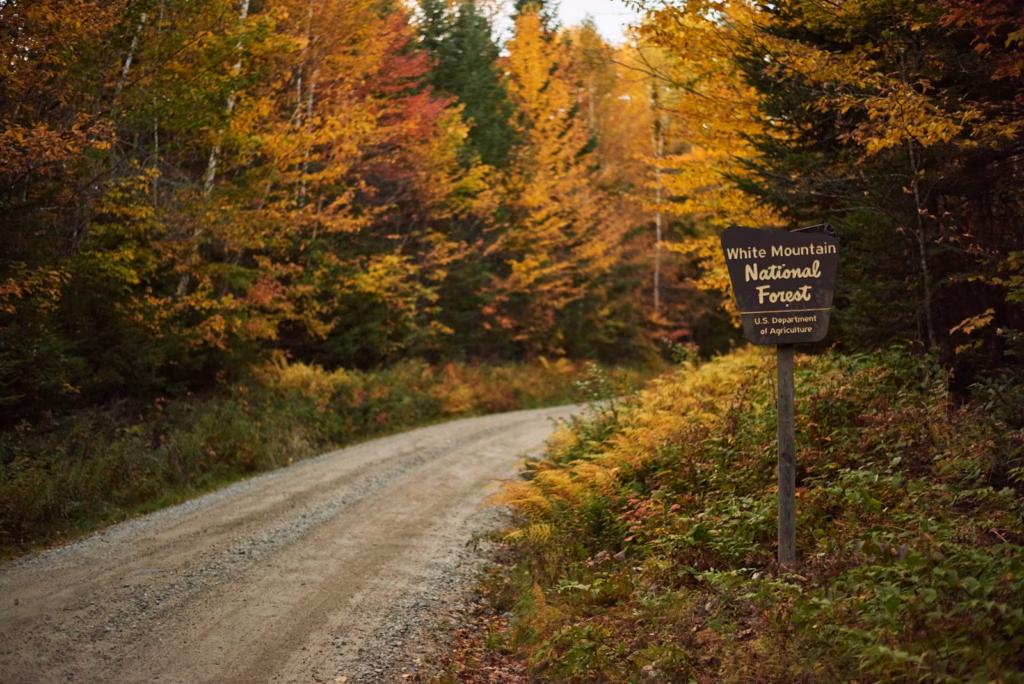 New Hampshire White Mountains a sign on a dirt road in the woods