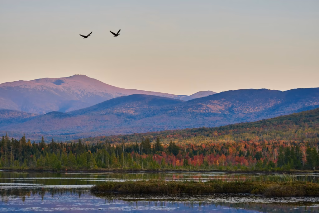 New Hampshire White Mountains a couple of birds flying over a lake