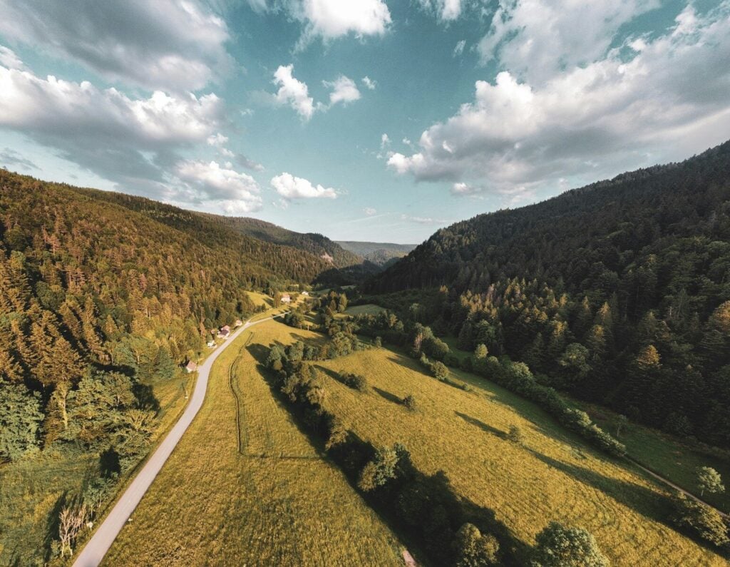 Vosges an aerial view of a road in the middle of a forest