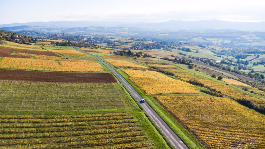 Beaujolais Wine Region An aerial view of a road running through a field