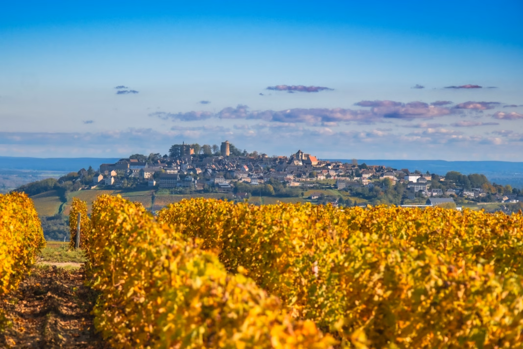 A cyclist’s guide to Loire Valley (Loire à Vélo)