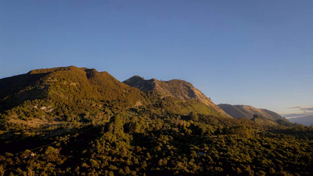Nelson & Tasman New Zealand A view of a mountain range with a clear sky