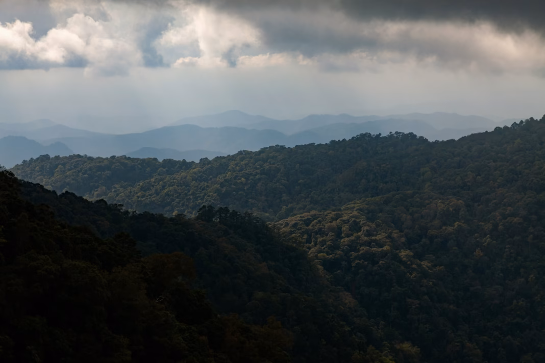 Cycling in Chiang Mai: Doi Suthep, the Samoeng loop and northern Thailand’s mountain roads