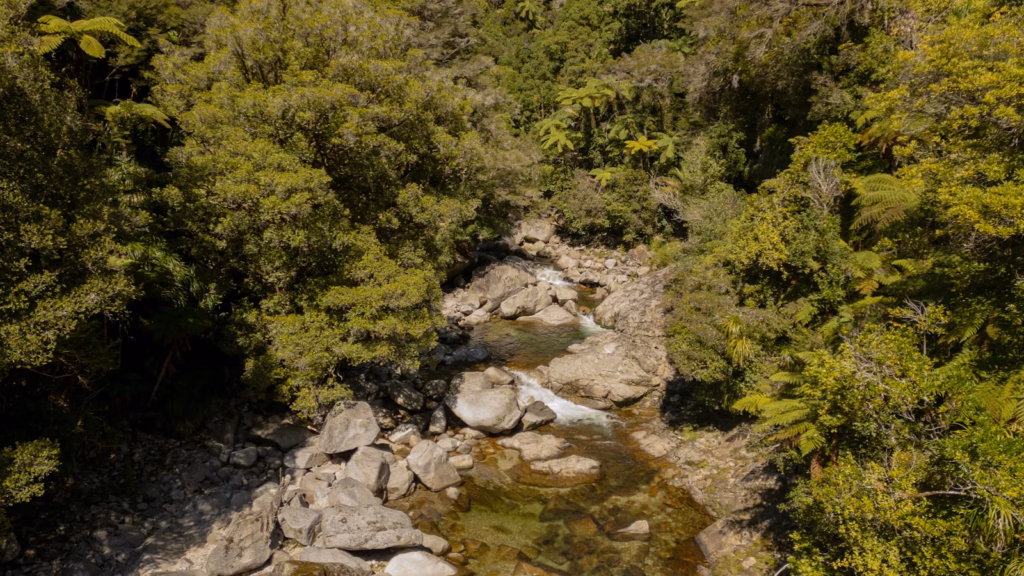 Nelson & Tasman New Zealand An aerial view of a river running through a forest