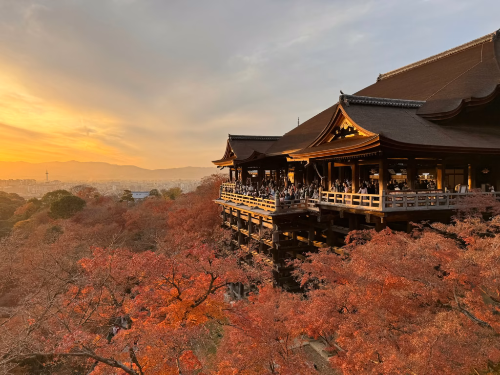 Kyoto a pagoda on top of a hill with trees in the foreground