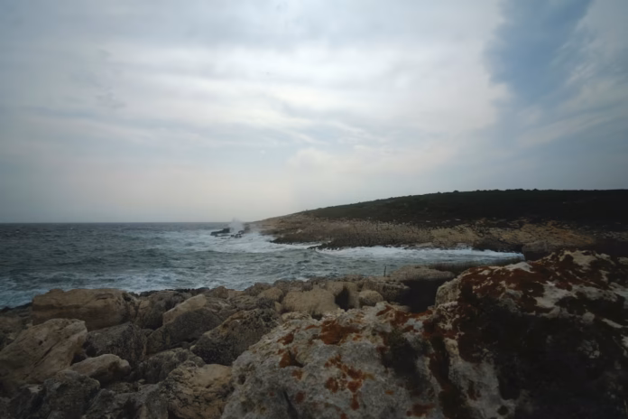 Dalmatian Coast a rocky beach with a boat in the distance