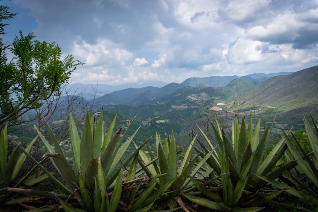 Cycling in Oaxaca region – why it deserves a place on your riding list