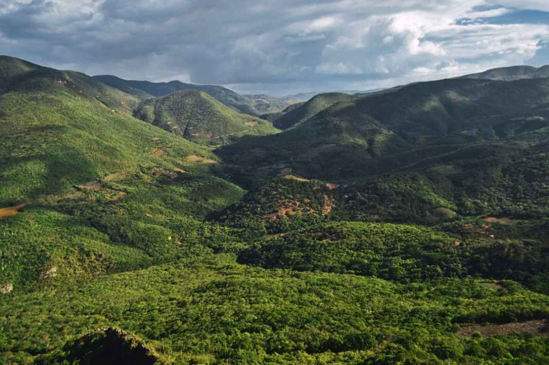 Forested mountain landscape in the Sierra Norte of Oaxaca